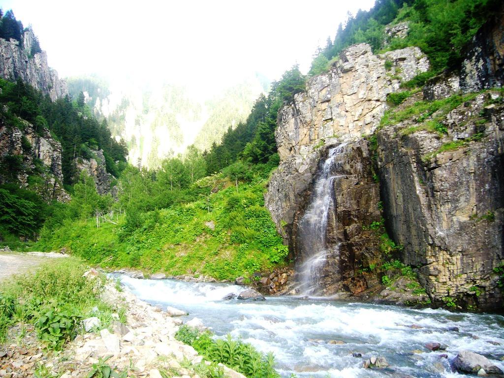 Yedigoller Hotel & Restaurant Uzungöl Kültér fotó