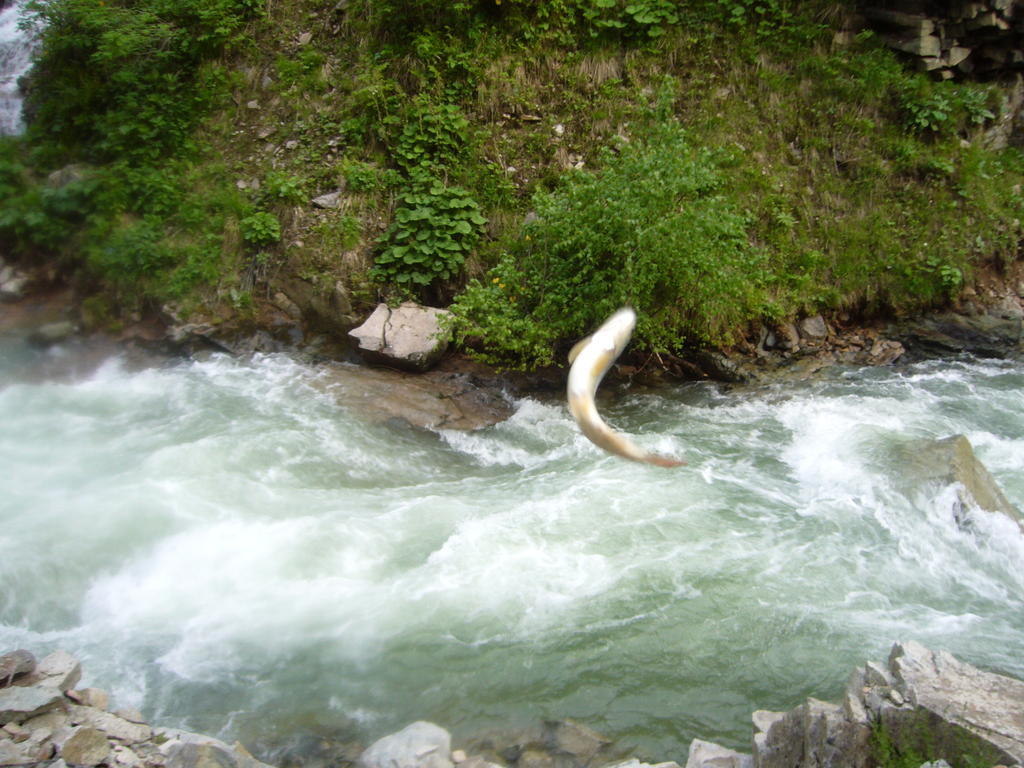 Yedigoller Hotel & Restaurant Uzungöl Kültér fotó